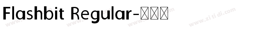 Flashbit Regular字体转换